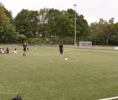 Ed V14062025 1430014