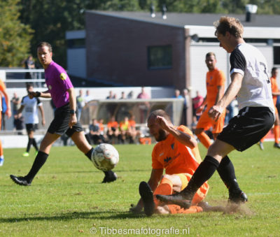 DSC 2508 7