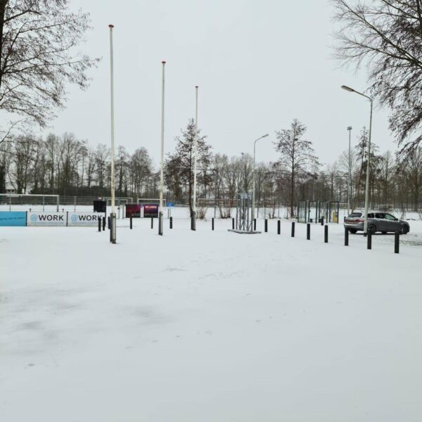 146062520 1778239525682654 8657713713939083287 o