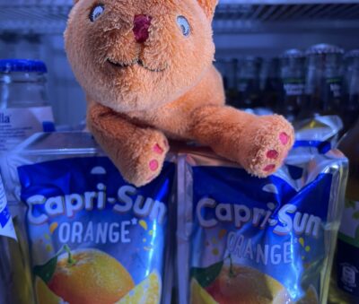 Whats App Image 2023 06 07 at 19 47 31