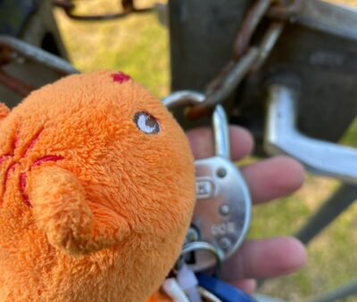 Whats App Image 2023 06 07 at 19 47 32 4