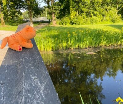 Whats App Image 2023 06 07 at 19 47 38 1