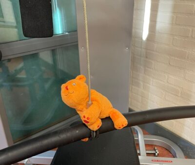 Whats App Image 2023 06 07 at 19 48 30