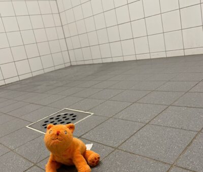 Whats App Image 2023 06 07 at 19 48 33 1