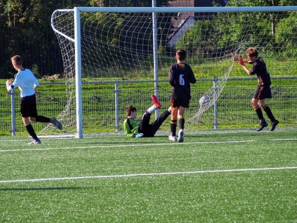 1920 JO15 2 Stiens 01